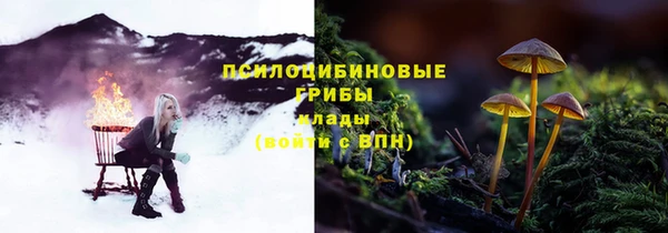 марки nbome Аркадак
