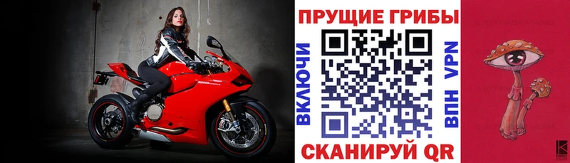 Псилоцибиновые грибы Psilocybe Колпашево
